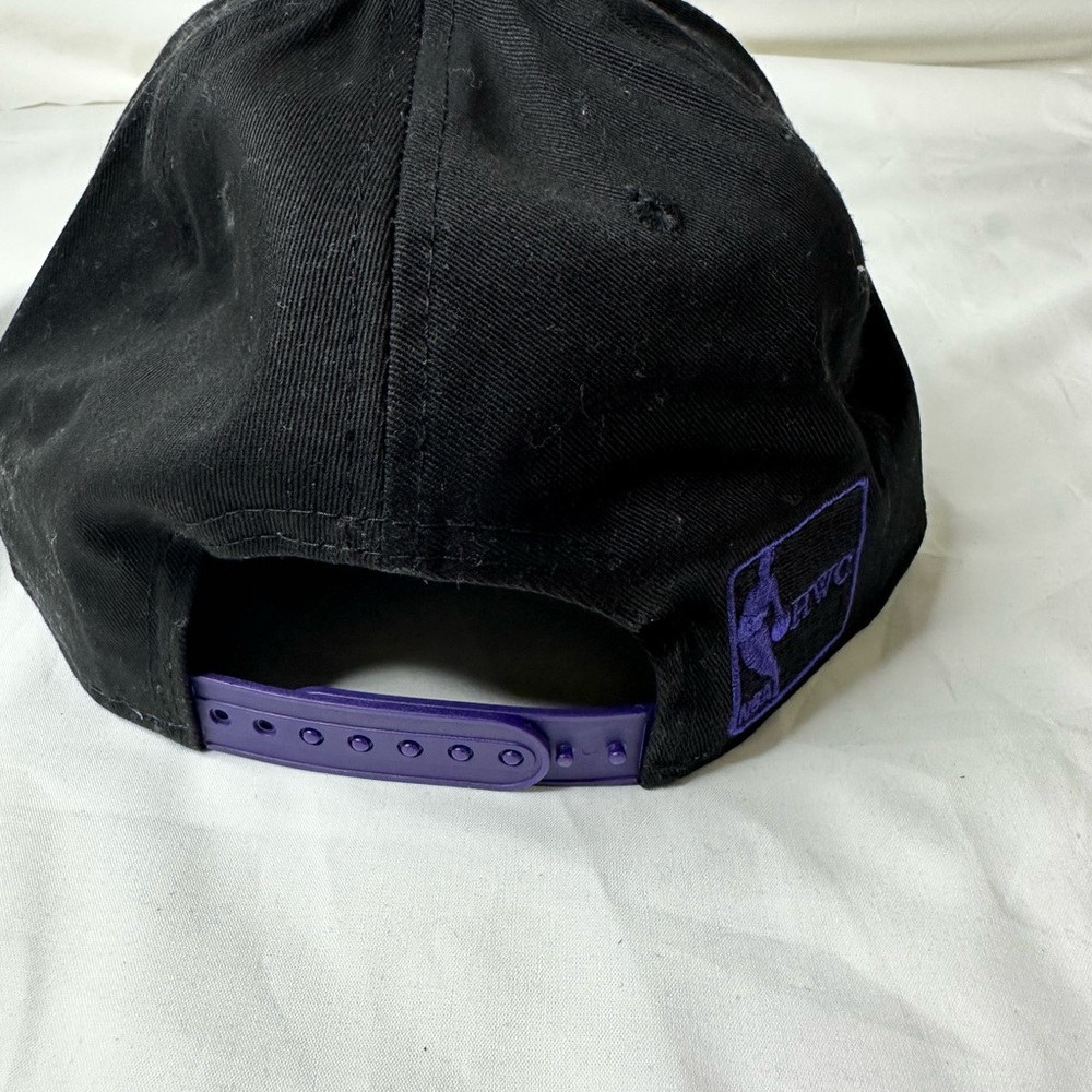 Toronto Raptors snapback - Picture 3 of 6